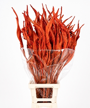 Strelitzia Leaves 100cm