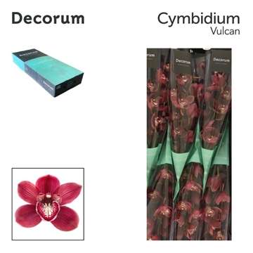 Cymb T Vulcan 60 Cm - 8/11bl