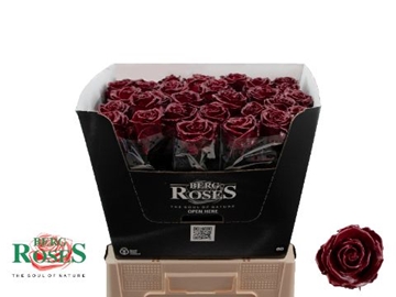 Rosa Waxed 60cm