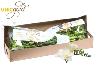 Freesia Double Volante 20gram
