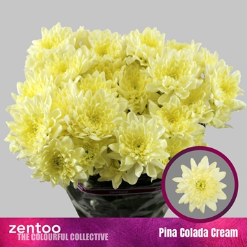 Chrys Spray Pina Colada Cream 110gram