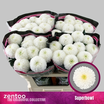 Chrys Single Super Bowl 70cm 80gram