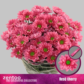 Chr T Resq Cherry 95gram