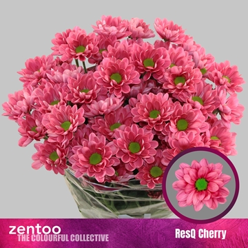 Chr T Resq Cherry 95gram