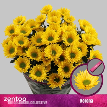 Chrys Spray Korona 85gram