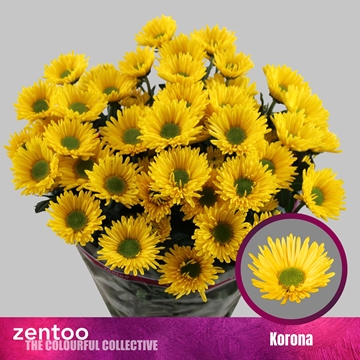Chrys Spray Korona 85gram