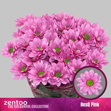 Chr T Resq Pink 95gram