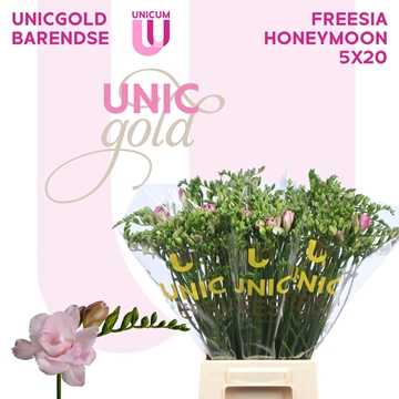 Freesia Double Honeymoon 20gram