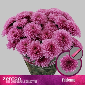 Chr T Fabienne 95gram