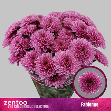 Chr T Fabienne 95gram
