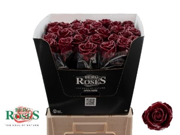 Rosa Waxed 70cm