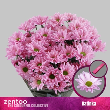 Chrys Spray Katinka 85gram