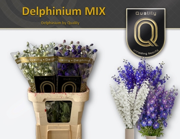 Delph Du Gem Fust 90cm