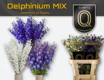 Delph Du Gem Fust 100cm