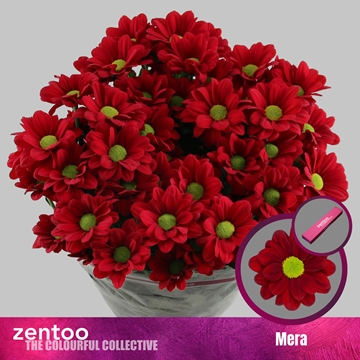Chr T Mera 110gram