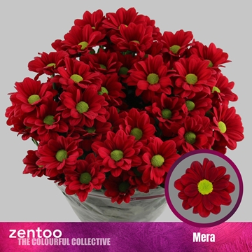 Chr T Mera 110gram