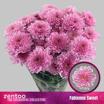 Chr T Fabienne Sweet 90gram