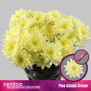 Chrys Spray Pina Colada Cream 110gram