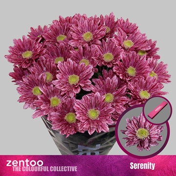 Chrys Spray Serenity 85gram