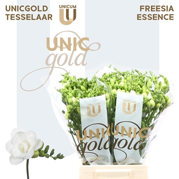 Freesia Double Essence 23gram
