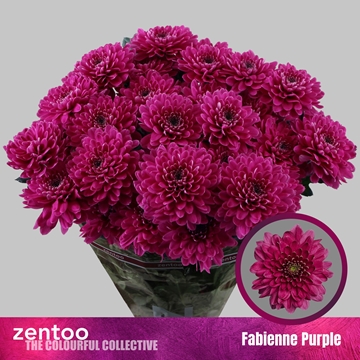 Chrys Spray Fabienne 90gram