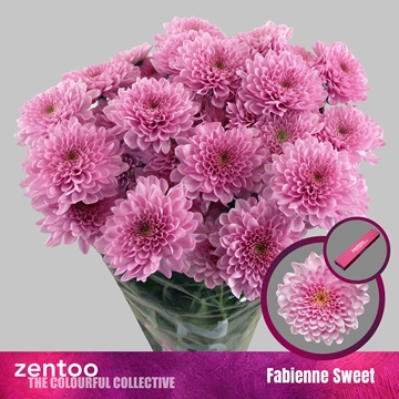 Chr T Fabienne Sweet 90gram