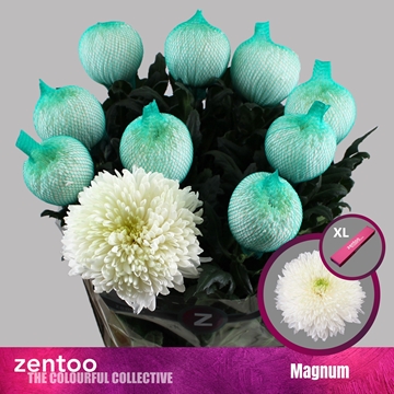 Chrys Single Magnum 70cm 105gram