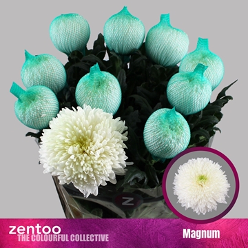 Chrys Single Magnum 70cm 105gram
