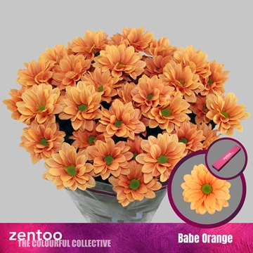 Chr T Babe Orange 90gram
