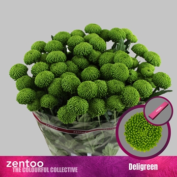 Chrys Spray Deligreen 90gram