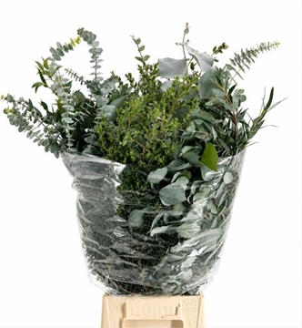 Eucalyptus Bnch Mixed 70cm 200gram