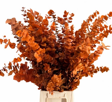 Eucalyptus Leaves Bnch 70cm 150gram