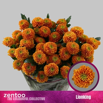 Chr T Lionking 85gram