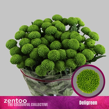 Chrys Spray Deligreen 90gram