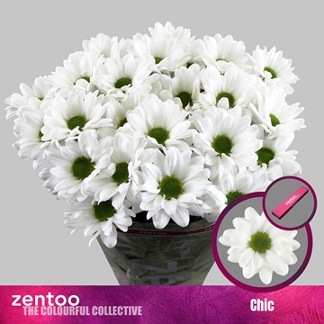 Chrys Spray Chic 90gram