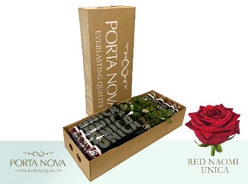 Rosa Hybrida Red Naomi 70cm