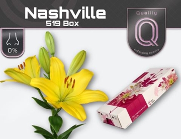 Lilium La Nashville 90cm 5/7bl