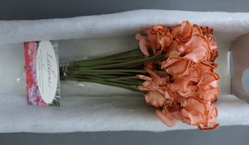 Lathyr Parfum Klb H% 35cm