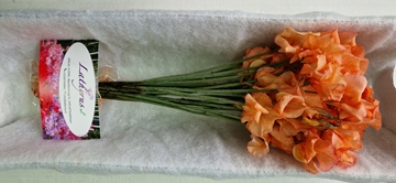 Lathyr Parfum Klb H% 35cm
