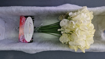 Lathyr Parfum Klb H% 35cm