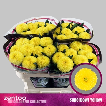 Chr G Superbowl Yell 70cm 80gram