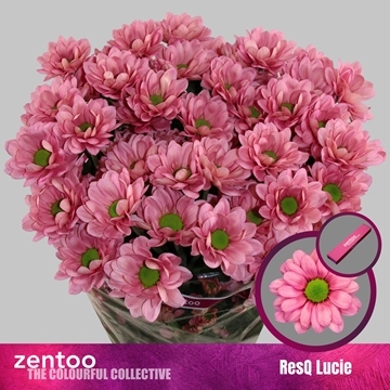 Chr T Resq Lucie 100gram
