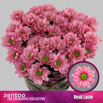 Chr T Resq Lucie 100gram