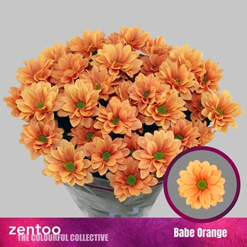 Chr T Babe Orange 90gram