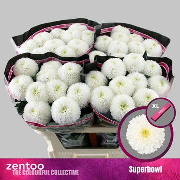 Chrys Single Super Bowl 70cm 80gram