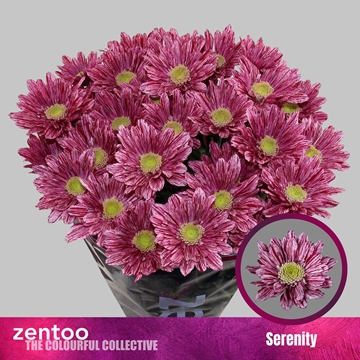 Chrys Spray Serenity 85gram