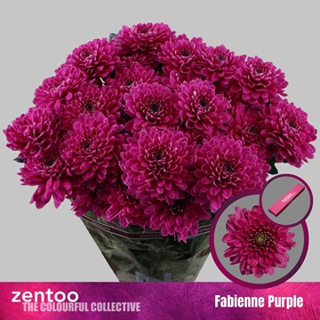Chrys Spray Fabienne 90gram